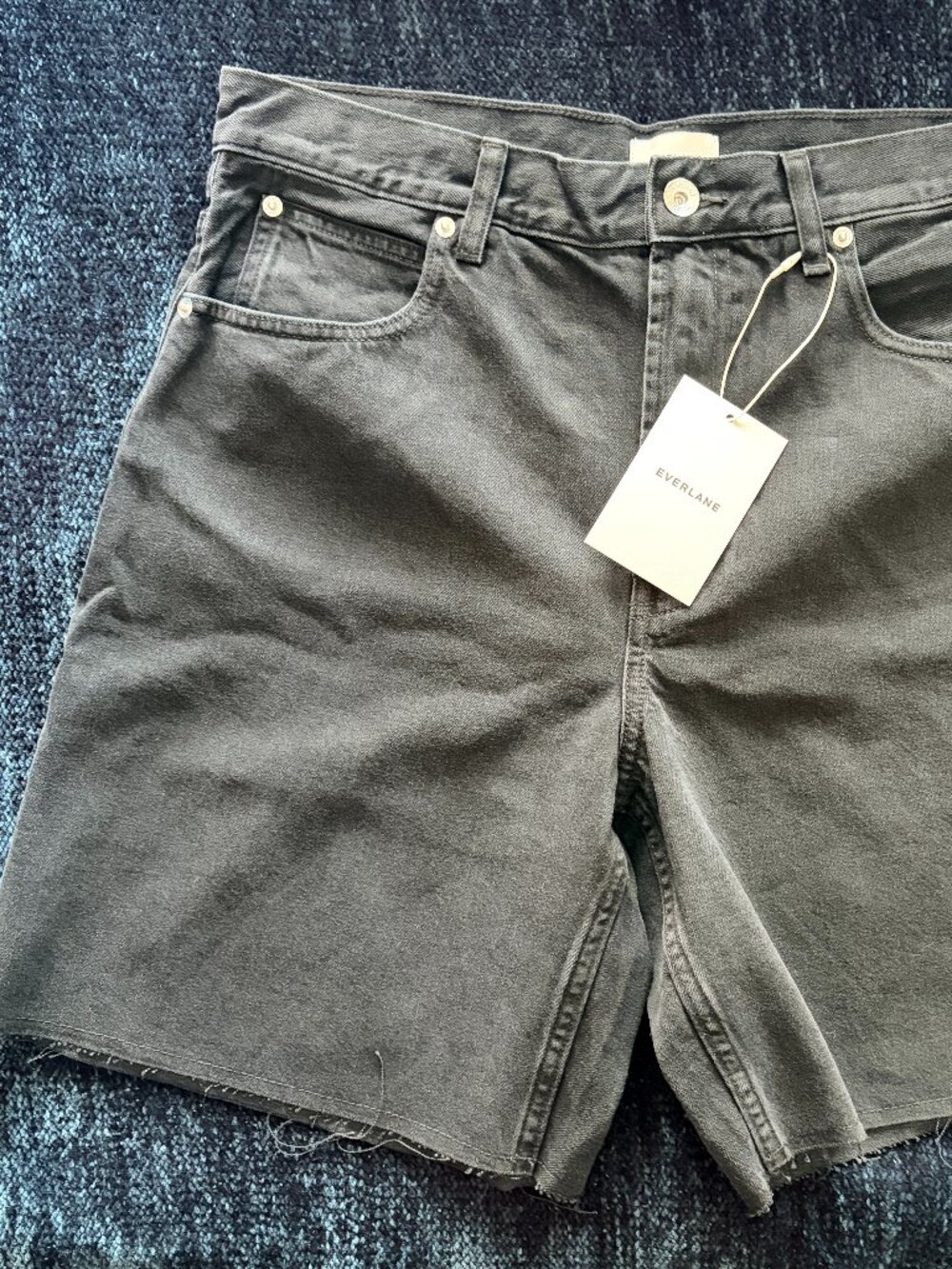 Everlane Baggy Denim Shorts Black Faded Cut-Off Raw Hem 30R NWT